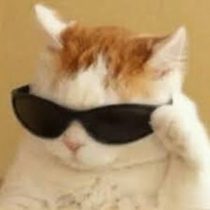 Meet your Posher, Ella